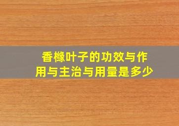 香橼叶子的功效与作用与主治与用量是多少