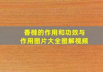 香橼的作用和功效与作用图片大全图解视频