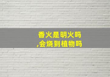 香火是明火吗,会烧到植物吗