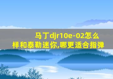 马丁djr10e-02怎么样和泰勒迷你,哪更适合指弹