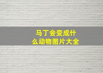 马丁会变成什么动物图片大全