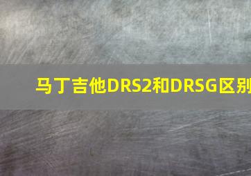 马丁吉他DRS2和DRSG区别