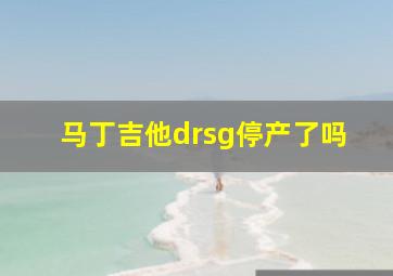 马丁吉他drsg停产了吗