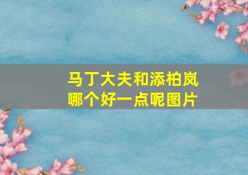 马丁大夫和添柏岚哪个好一点呢图片