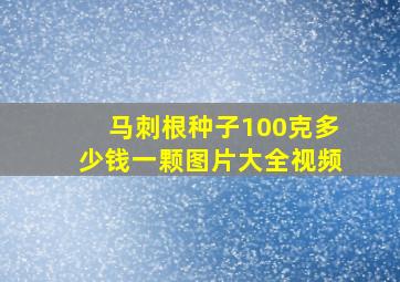 马刺根种子100克多少钱一颗图片大全视频