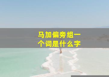 马加偏旁组一个词是什么字