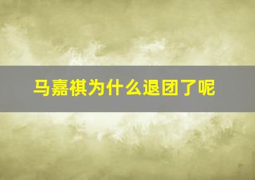 马嘉祺为什么退团了呢