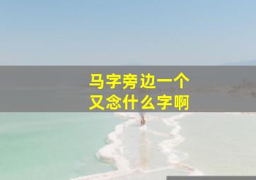 马字旁边一个又念什么字啊