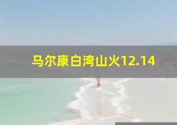 马尔康白湾山火12.14