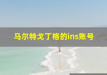 马尔特戈丁格的ins账号