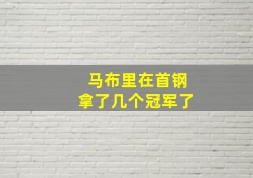 马布里在首钢拿了几个冠军了