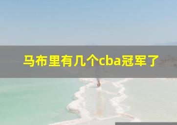 马布里有几个cba冠军了