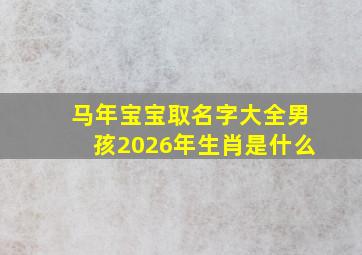 马年宝宝取名字大全男孩2026年生肖是什么