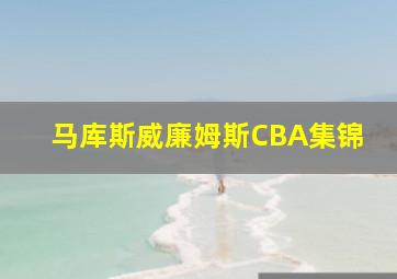 马库斯威廉姆斯CBA集锦