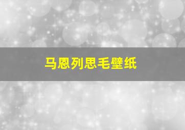 马恩列思毛壁纸