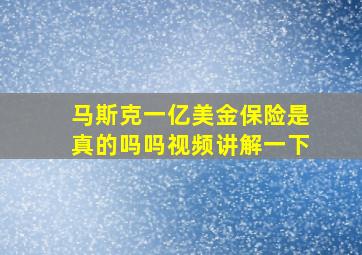 马斯克一亿美金保险是真的吗吗视频讲解一下