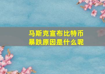 马斯克宣布比特币暴跌原因是什么呢