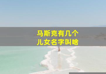 马斯克有几个儿女名字叫啥