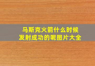 马斯克火箭什么时候发射成功的呢图片大全