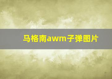 马格南awm子弹图片