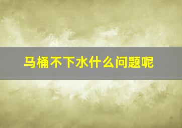 马桶不下水什么问题呢