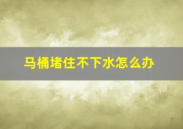 马桶堵住不下水怎么办