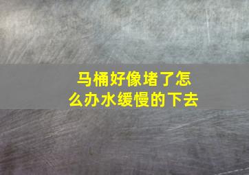 马桶好像堵了怎么办水缓慢的下去