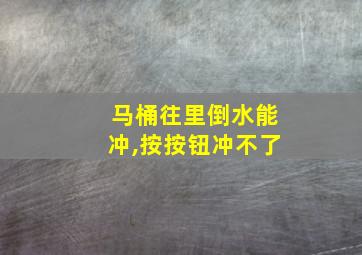 马桶往里倒水能冲,按按钮冲不了