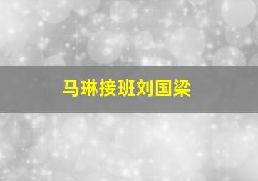 马琳接班刘国梁