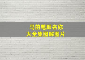 马的笔顺名称大全集图解图片