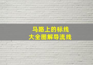 马路上的标线大全图解导流线