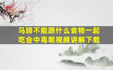 马蹄不能跟什么食物一起吃会中毒呢视频讲解下载