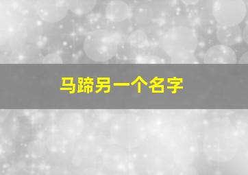 马蹄另一个名字