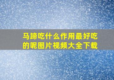 马蹄吃什么作用最好吃的呢图片视频大全下载