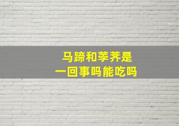 马蹄和荸荠是一回事吗能吃吗