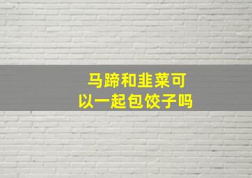 马蹄和韭菜可以一起包饺子吗