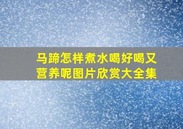 马蹄怎样煮水喝好喝又营养呢图片欣赏大全集