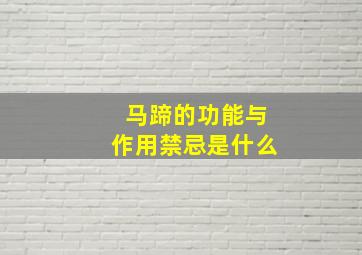 马蹄的功能与作用禁忌是什么