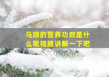 马蹄的营养功效是什么呢视频讲解一下吧