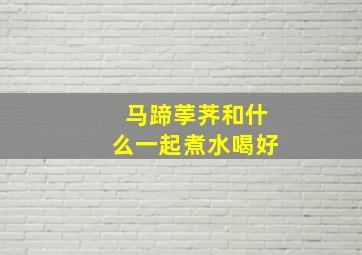 马蹄荸荠和什么一起煮水喝好