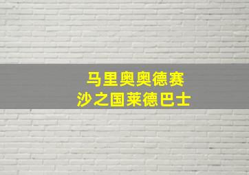 马里奥奥德赛沙之国莱德巴士