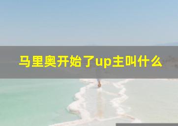 马里奥开始了up主叫什么