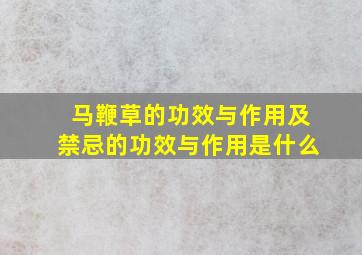 马鞭草的功效与作用及禁忌的功效与作用是什么