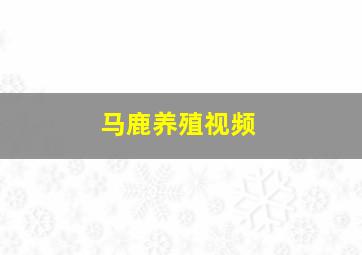 马鹿养殖视频