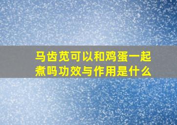 马齿苋可以和鸡蛋一起煮吗功效与作用是什么