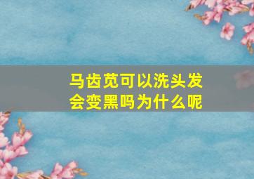 马齿苋可以洗头发会变黑吗为什么呢