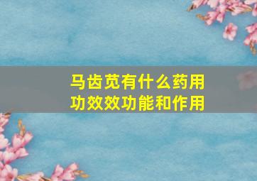 马齿苋有什么药用功效效功能和作用