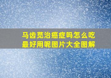 马齿苋治癌症吗怎么吃最好用呢图片大全图解