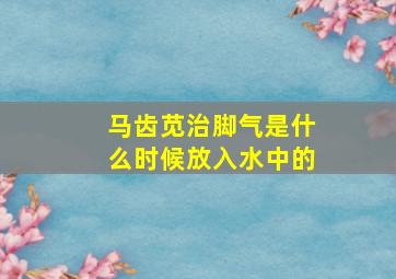 马齿苋治脚气是什么时候放入水中的