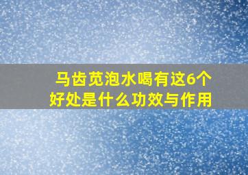 马齿苋泡水喝有这6个好处是什么功效与作用